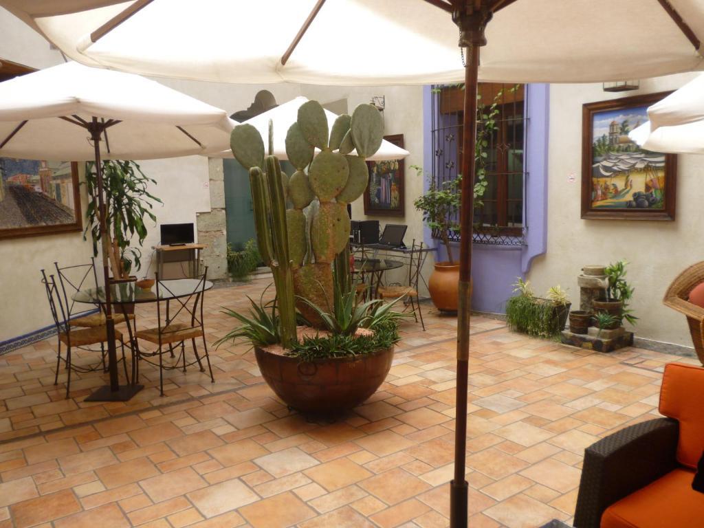 Hotel Trebol Oaxaca Rum bild