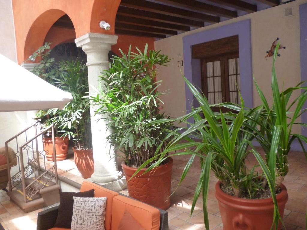 Hotel Trebol Oaxaca Rum bild