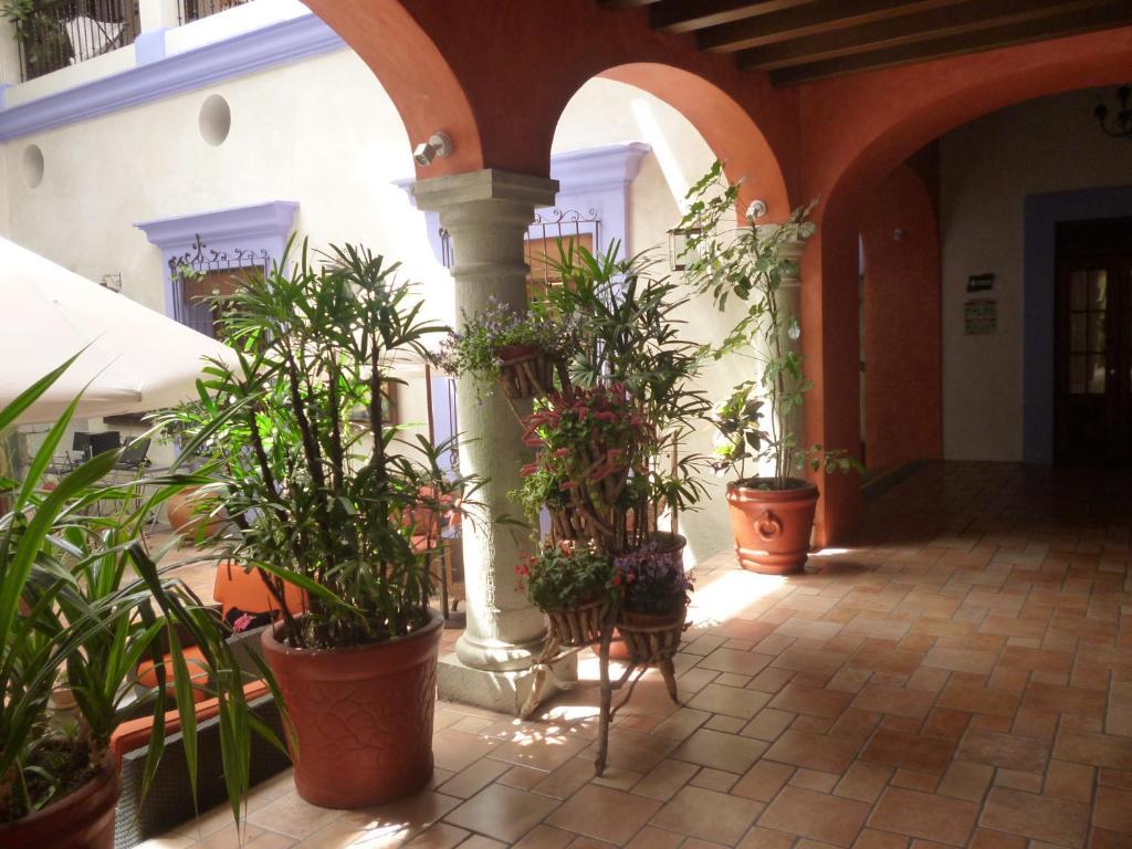 Hotel Trebol Oaxaca Rum bild